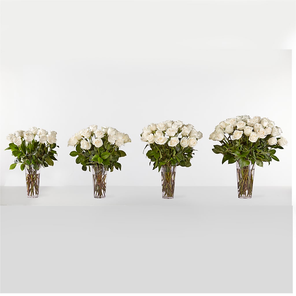 Long Stem White Rose Bouquet – WOYSHNER'S FLOWER SHOP, Lackawanna NY