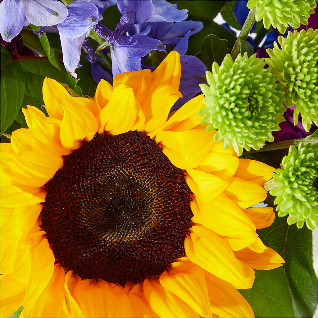 Catching Rays Bouquet – WOYSHNER'S FLOWER SHOP, Lackawanna NY