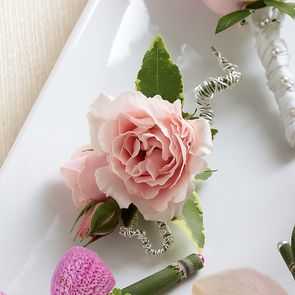 Pink Spray Rose Boutonniere – WOYSHNER'S FLOWER SHOP, Lackawanna NY