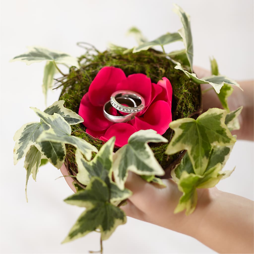 Lila Rose Ring Nest – WOYSHNER'S FLOWER SHOP, Lackawanna NY