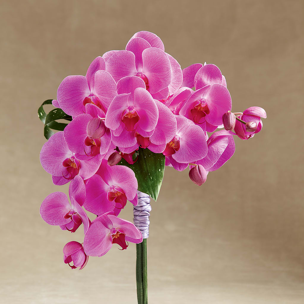 Glorious Bouquet – WOYSHNER'S FLOWER SHOP, Lackawanna NY