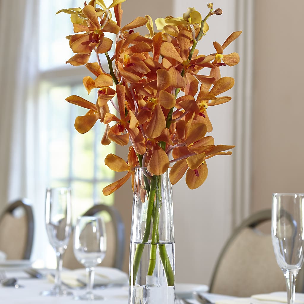 Orange Mokara Bud Vase – WOYSHNER'S FLOWER SHOP, Lackawanna NY