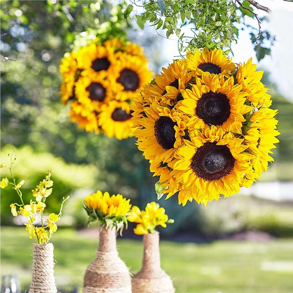 Sublime Garden Hanging Arrangement – WOYSHNER'S FLOWER SHOP, Lackawanna NY