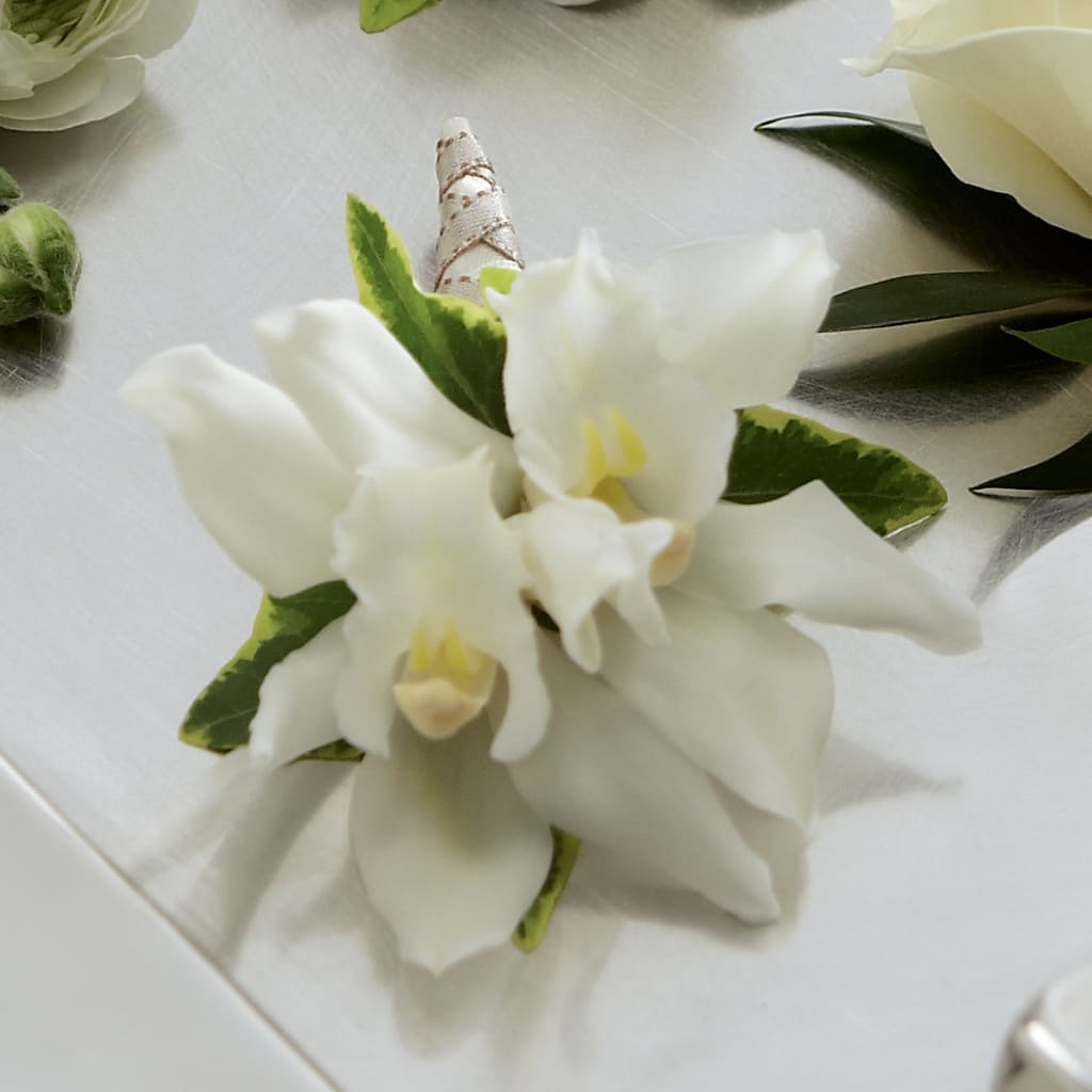 White Mini Cymbidium Boutonniere – WOYSHNER'S FLOWER SHOP, Lackawanna NY
