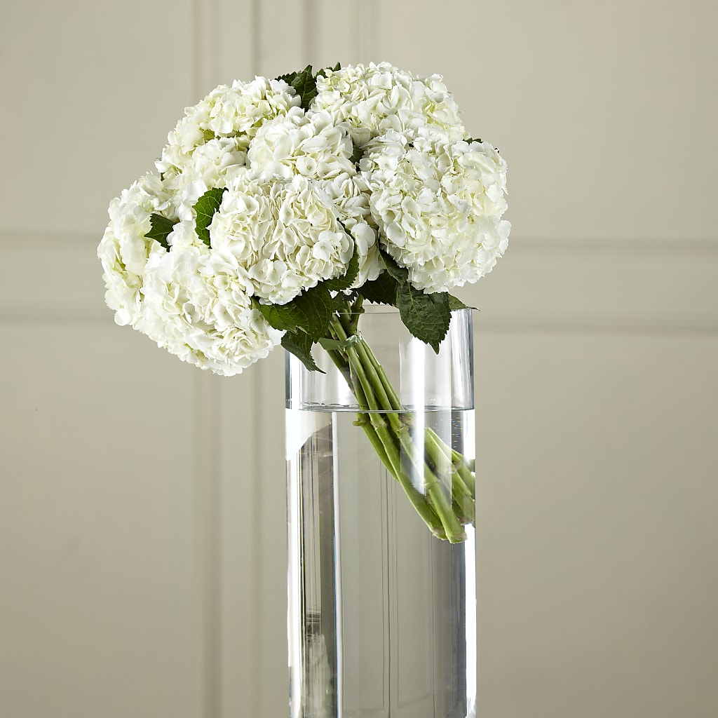White Hydrangea Hand-Tied Bouquet – WOYSHNER'S FLOWER SHOP, Lackawanna NY