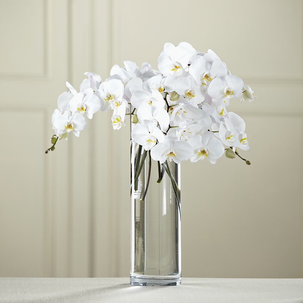 White Phalaenopsis Bouquet – WOYSHNER'S FLOWER SHOP, Lackawanna NY