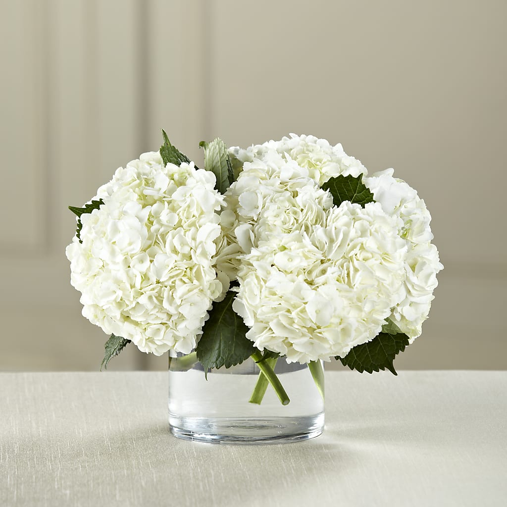 White Hydrangea Bouquet – WOYSHNER'S FLOWER SHOP, Lackawanna NY
