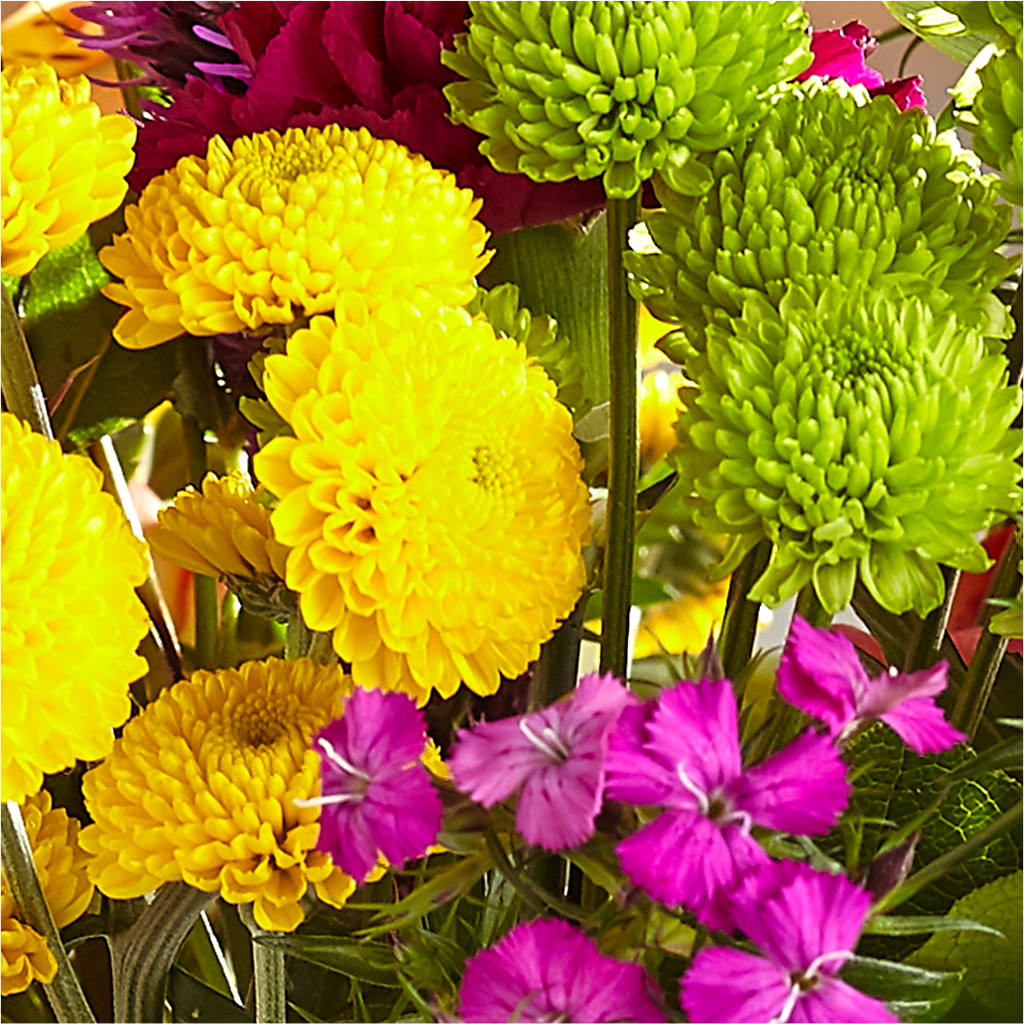 Bold & Bright – A Florist Original – WOYSHNER'S FLOWER SHOP, Lackawanna NY