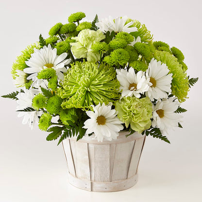 Lucky Charm Basket (Standard) – WOYSHNER'S FLOWER SHOP, Lackawanna NY