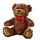 Adorable Plush Bear – WOYSHNER'S FLOWER SHOP, Lackawanna NY