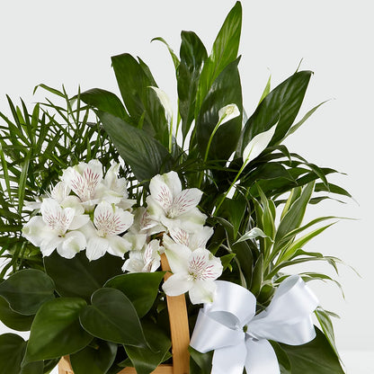 Peace & Serenity Dishgarden – WOYSHNER'S FLOWER SHOP, Lackawanna NY