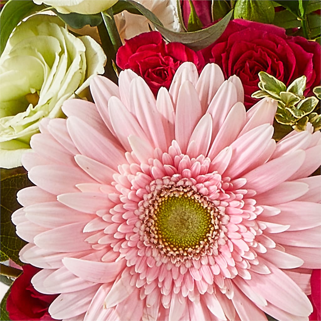 Too Cute Bouquet – WOYSHNER'S FLOWER SHOP, Lackawanna NY