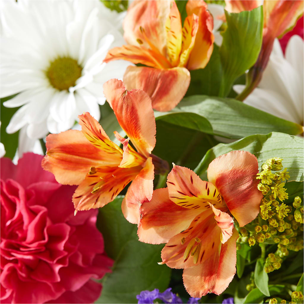 Oopsie Daisy Box Bouquet – WOYSHNER'S FLOWER SHOP, Lackawanna NY