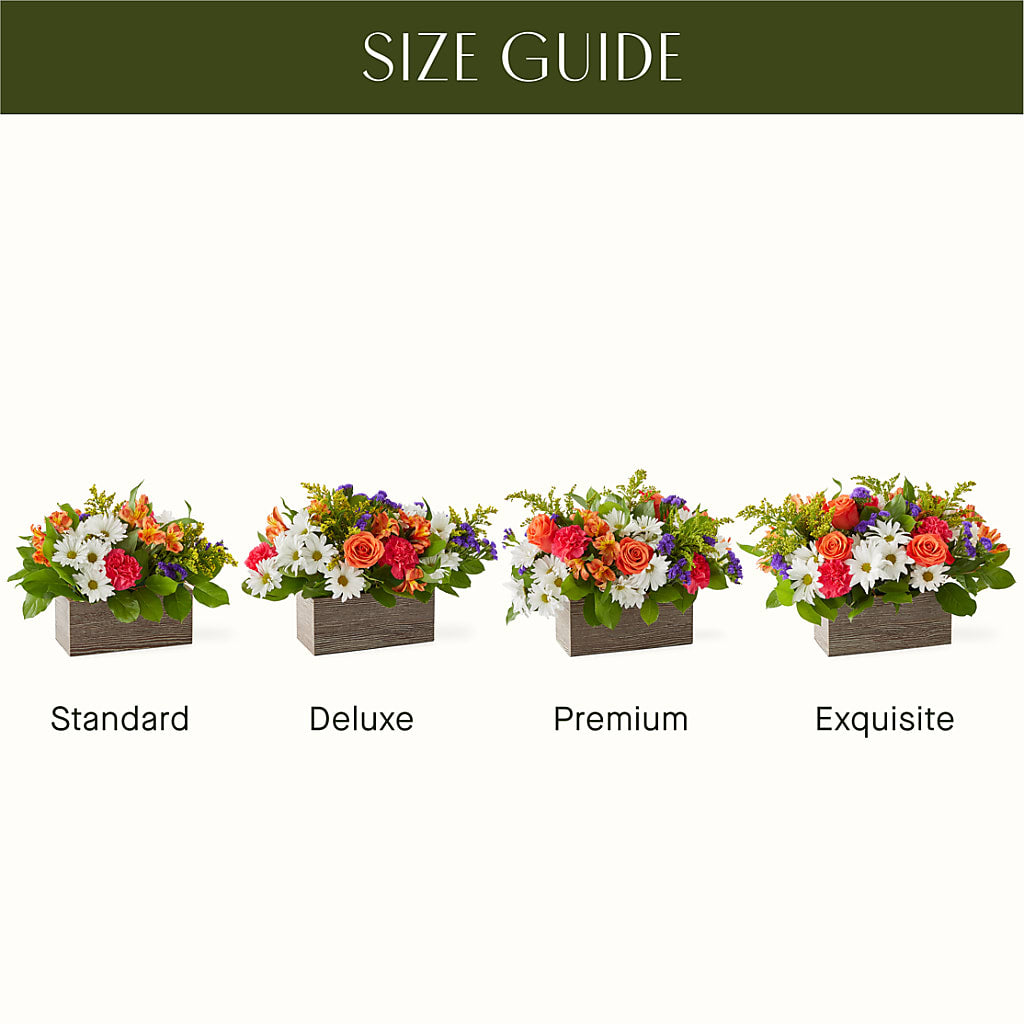 Oopsie Daisy Box Bouquet – WOYSHNER'S FLOWER SHOP, Lackawanna NY