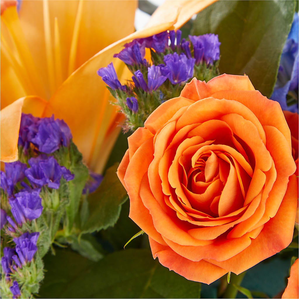 Radiant Citrus Box Bouquet – WOYSHNER'S FLOWER SHOP, Lackawanna NY