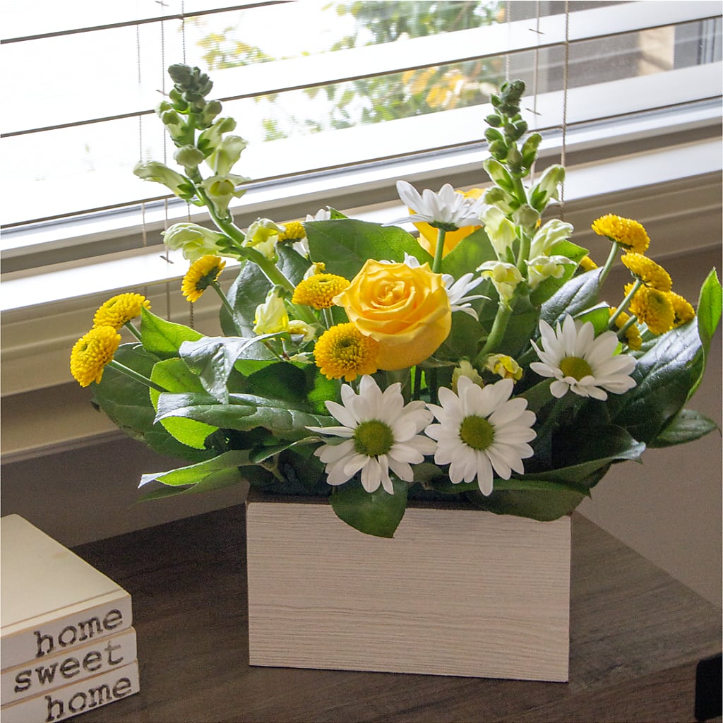 Sun Salutation Box Bouquet – WOYSHNER'S FLOWER SHOP, Lackawanna NY