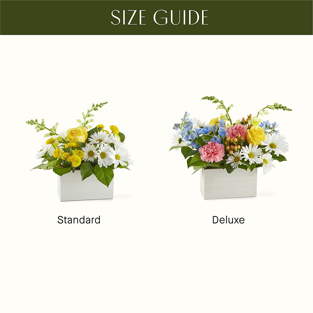 Sun Salutation Box Bouquet – WOYSHNER'S FLOWER SHOP, Lackawanna NY