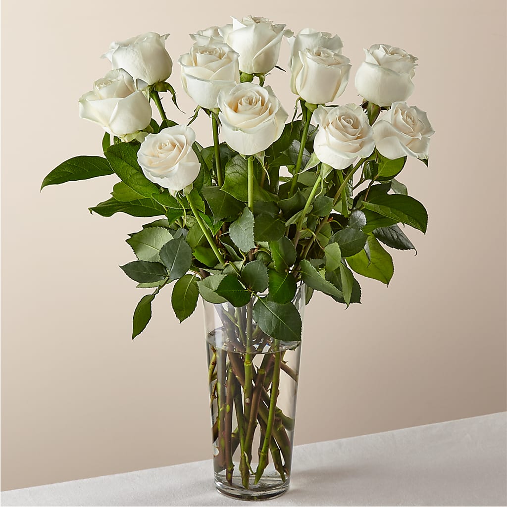 Long Stem White Rose Bouquet – WOYSHNER'S FLOWER SHOP, Lackawanna NY
