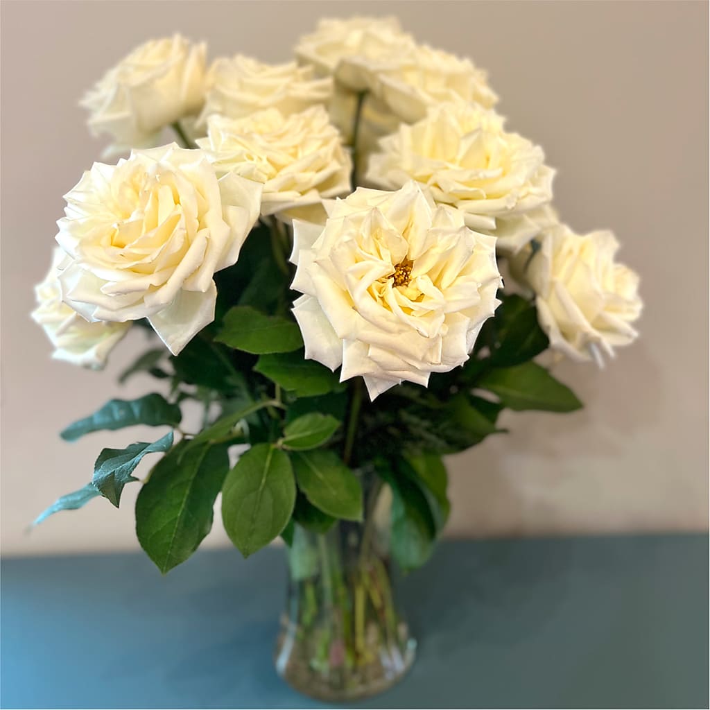 Long Stem Yellow Rose Bouquet – WOYSHNER'S FLOWER SHOP, Lackawanna NY