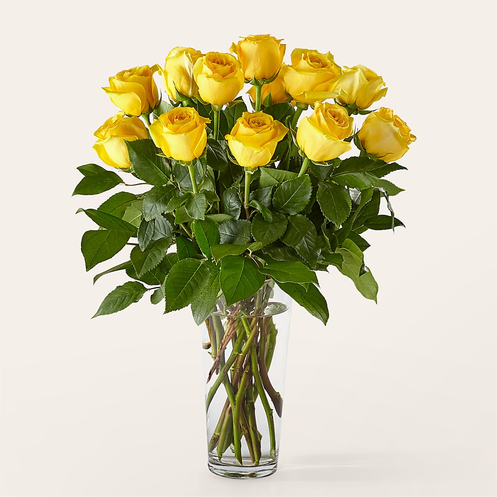 Long Stem Yellow Rose Bouquet – WOYSHNER'S FLOWER SHOP, Lackawanna NY