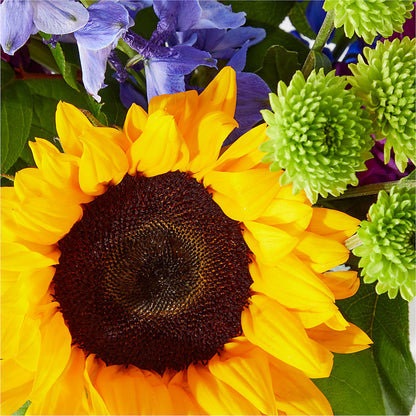 Catching Rays Bouquet – WOYSHNER'S FLOWER SHOP, Lackawanna NY