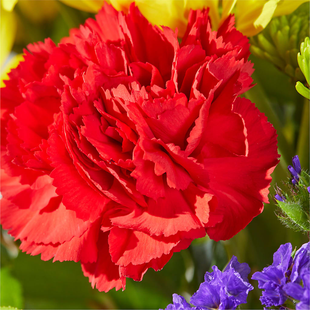 Brighter Days Bouquet – WOYSHNER'S FLOWER SHOP, Lackawanna NY