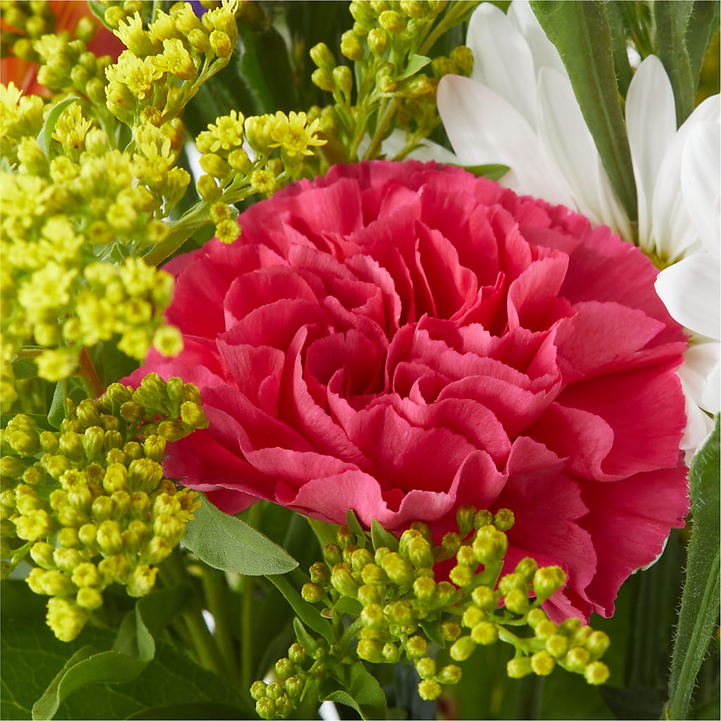 Oopsie Daisy Bouquet – WOYSHNER'S FLOWER SHOP, Lackawanna NY