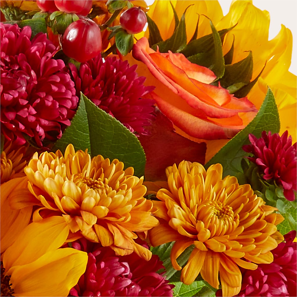 Sweater Season - A Florist Original – WOYSHNER'S FLOWER SHOP, Lackawanna NY