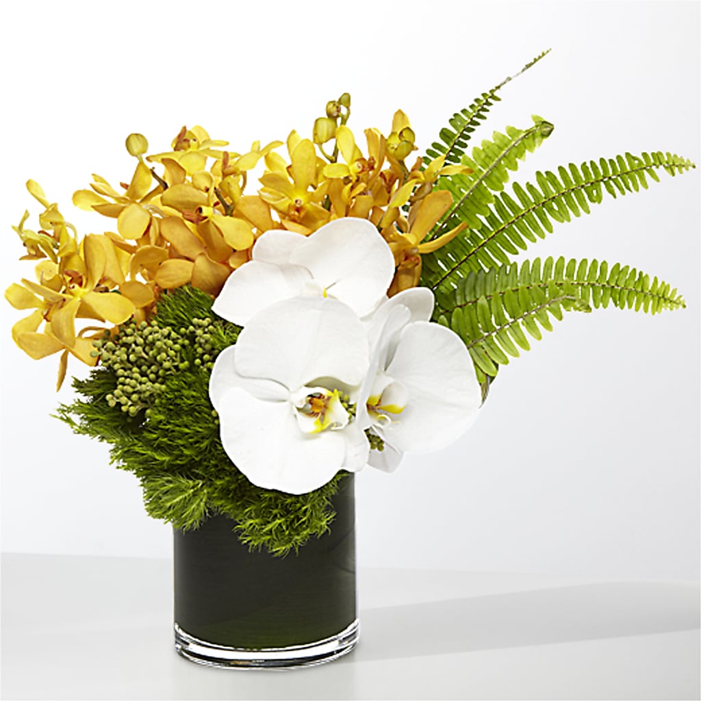 The Tropics – WOYSHNER'S FLOWER SHOP, Lackawanna NY