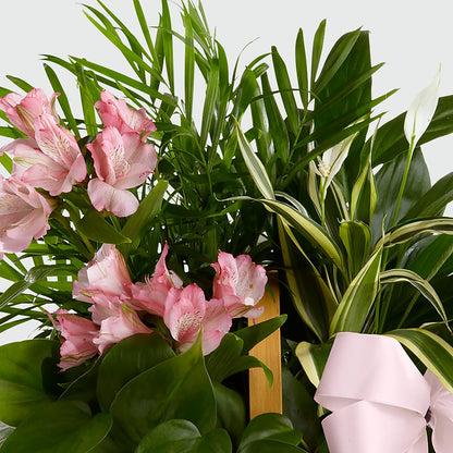 Living Spirit Dishgarden – WOYSHNER'S FLOWER SHOP, Lackawanna NY