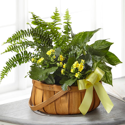 Always Dear Dishgarden – WOYSHNER'S FLOWER SHOP, Lackawanna NY