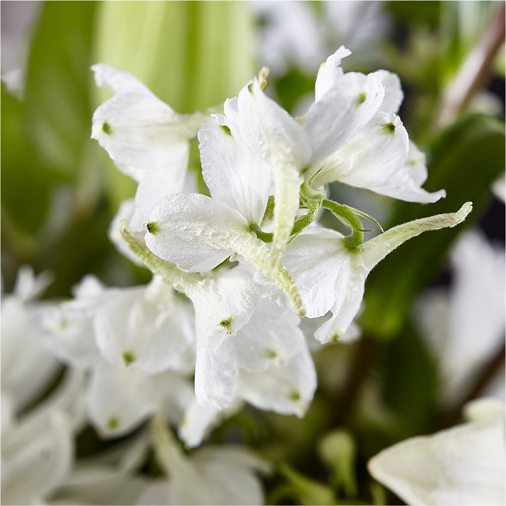 Classic Ivory – A Florist Original – WOYSHNER'S FLOWER SHOP, Lackawanna NY