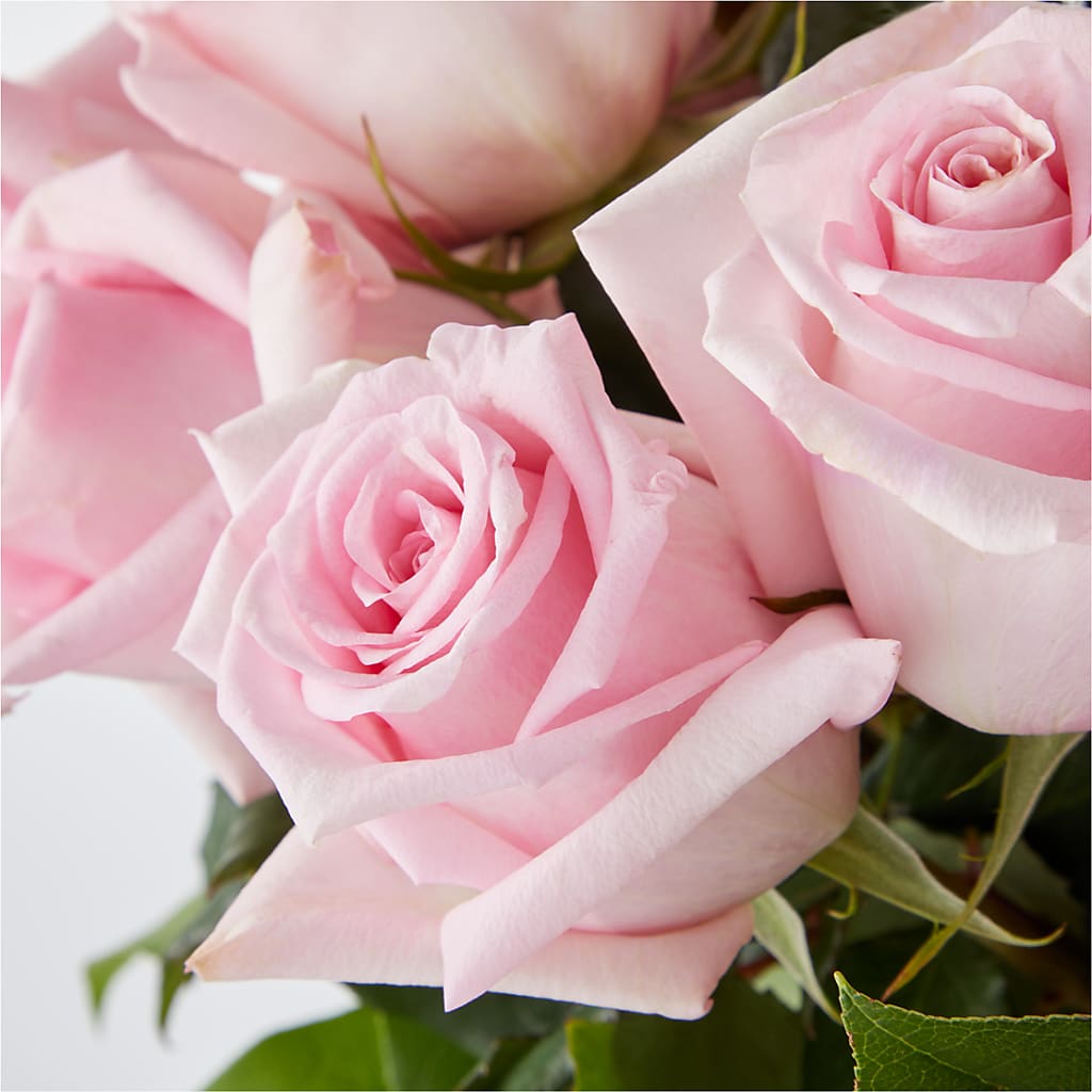 Picture Perfect Pink Rose Bouquet – WOYSHNER'S FLOWER SHOP, Lackawanna NY