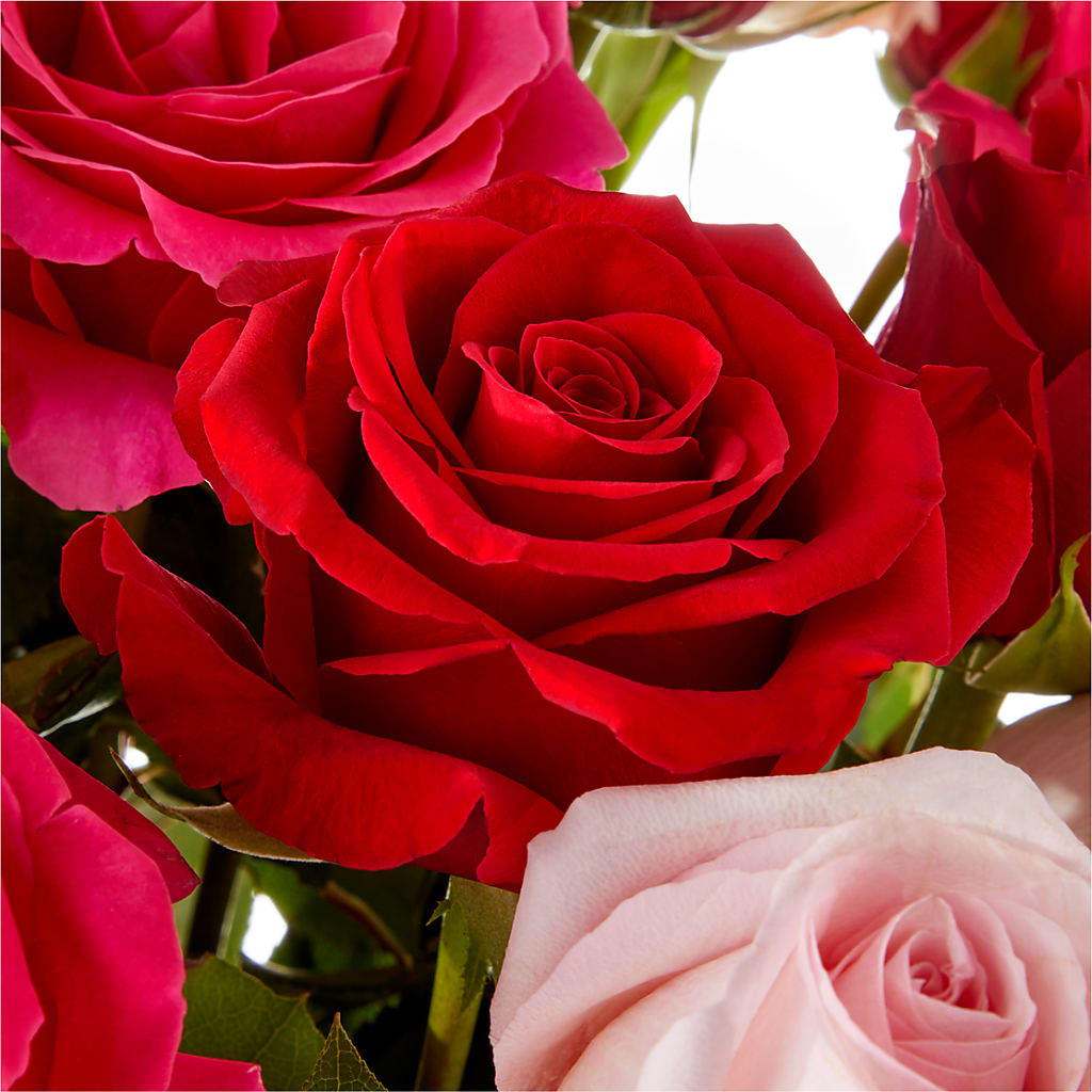 Love Notes Rose Bouquet – WOYSHNER'S FLOWER SHOP, Lackawanna NY