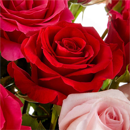Love Notes Rose Bouquet – WOYSHNER'S FLOWER SHOP, Lackawanna NY