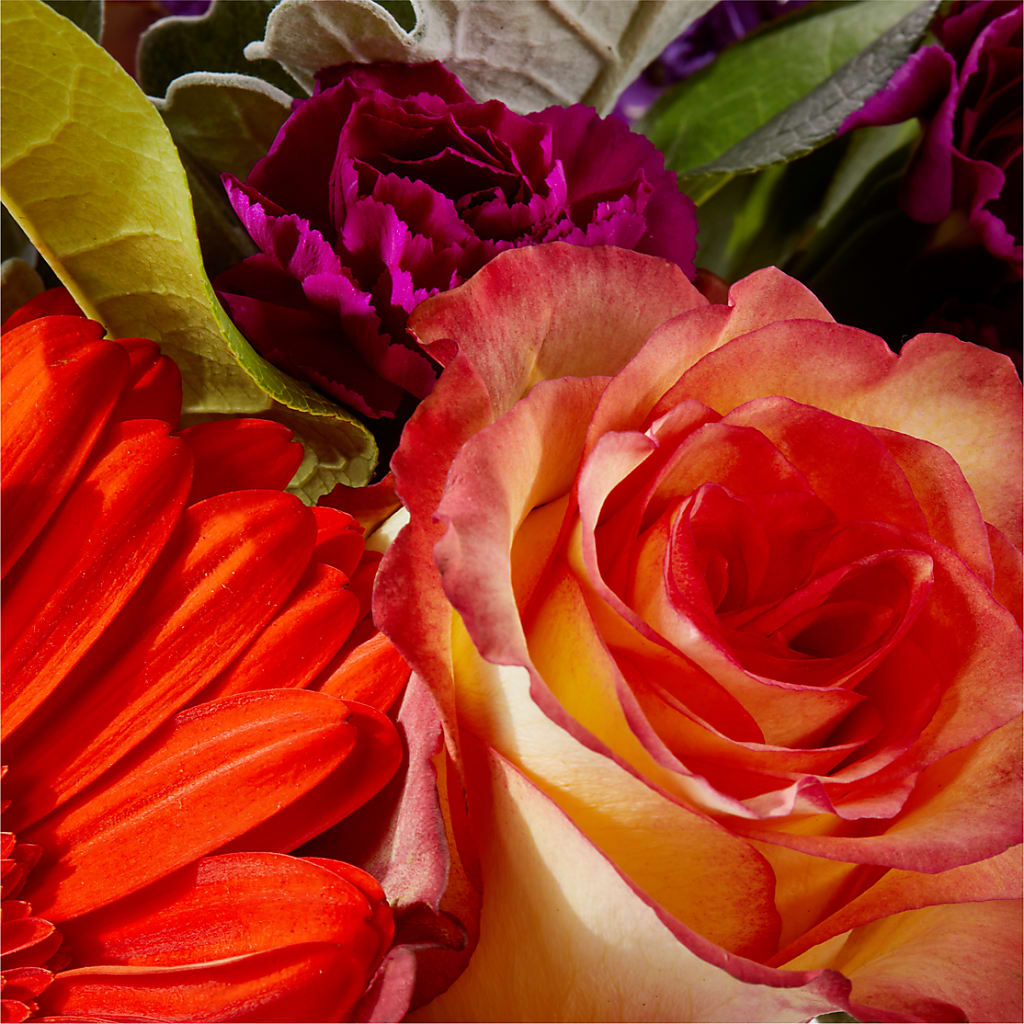 Sangria Bouquet – WOYSHNER'S FLOWER SHOP, Lackawanna NY