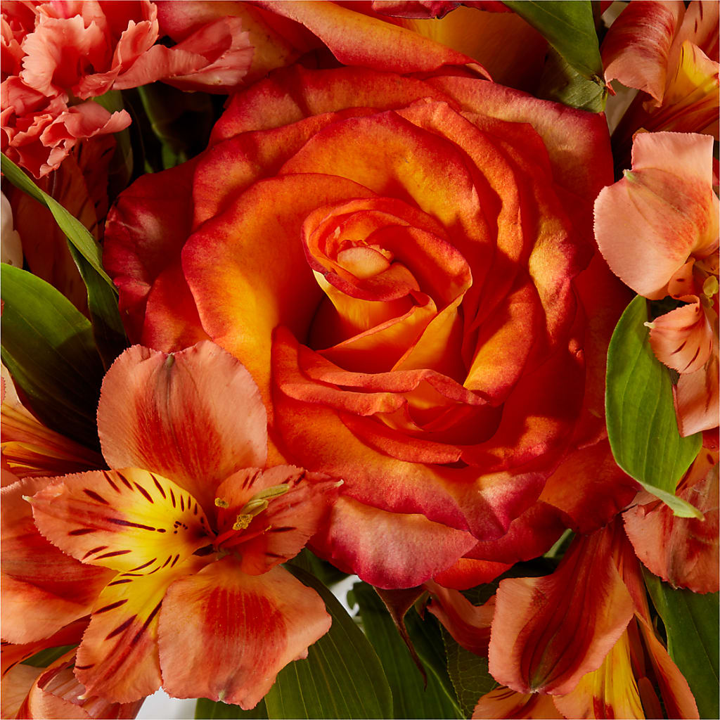 Apricot Glow Bouquet – WOYSHNER'S FLOWER SHOP, Lackawanna NY