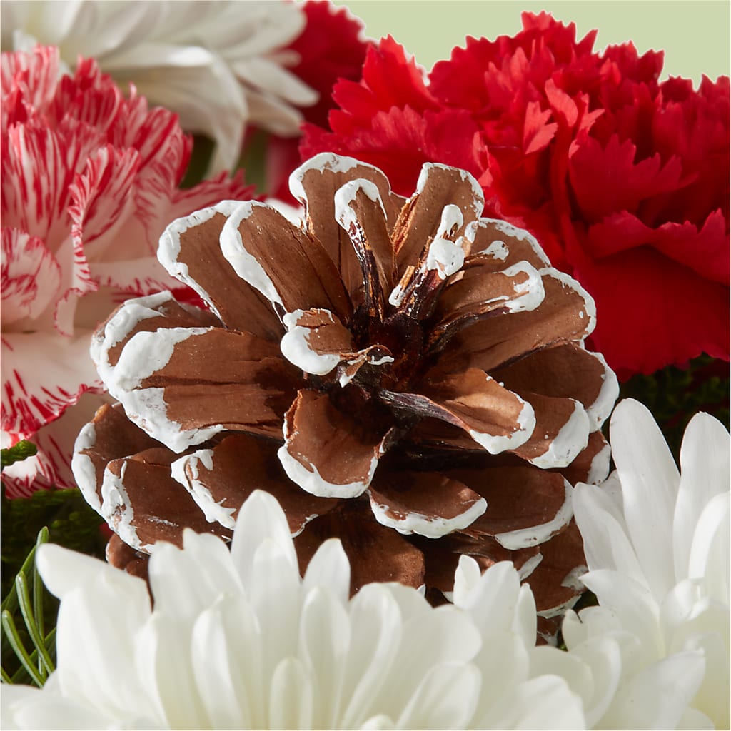 Candy Cane Lane Bouquet – WOYSHNER'S FLOWER SHOP, Lackawanna NY