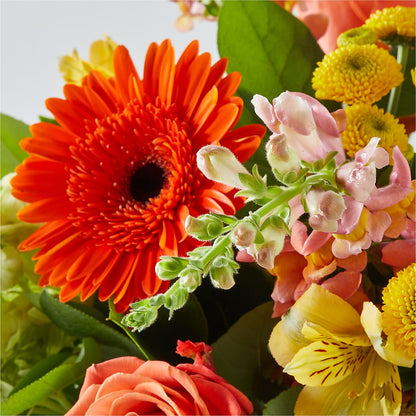 Autumn Sunshine Bouquet – WOYSHNER'S FLOWER SHOP, Lackawanna NY