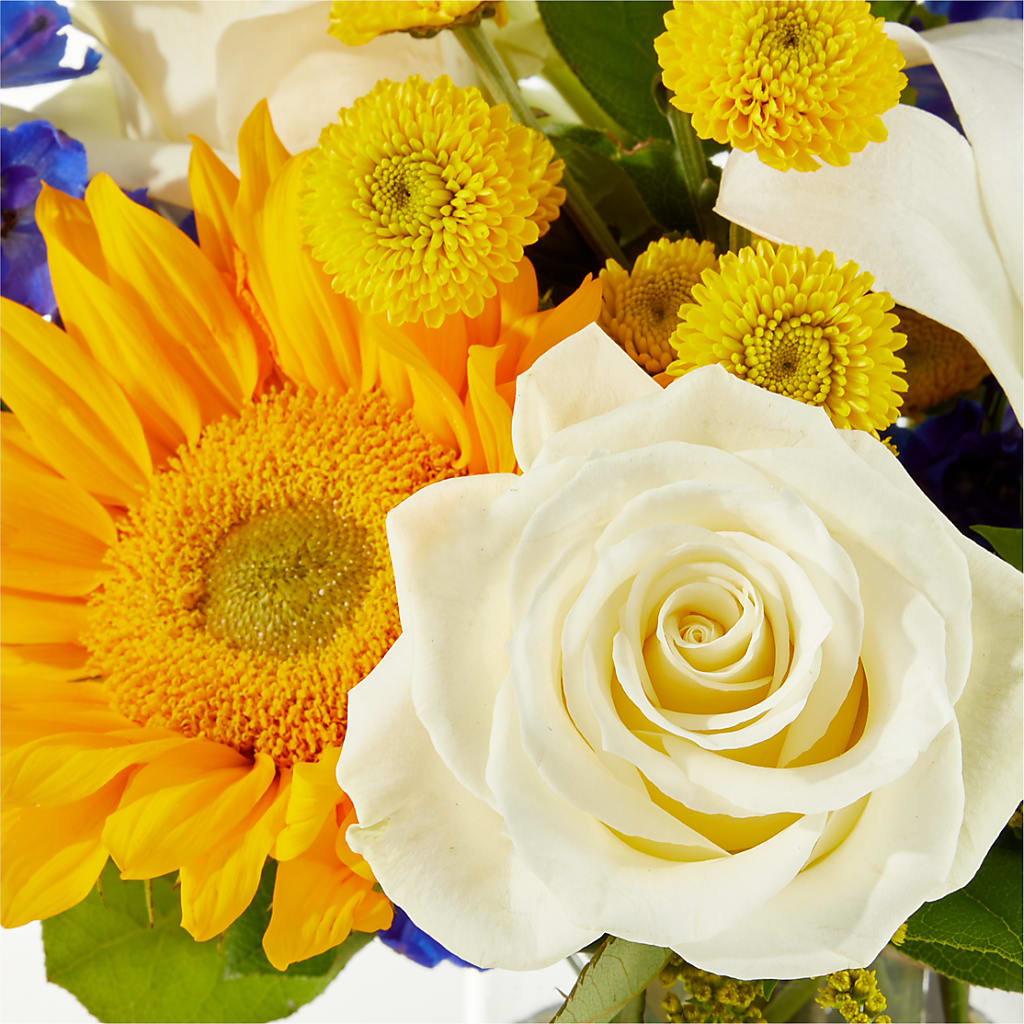 Stargazing Bouquet – WOYSHNER'S FLOWER SHOP, Lackawanna NY
