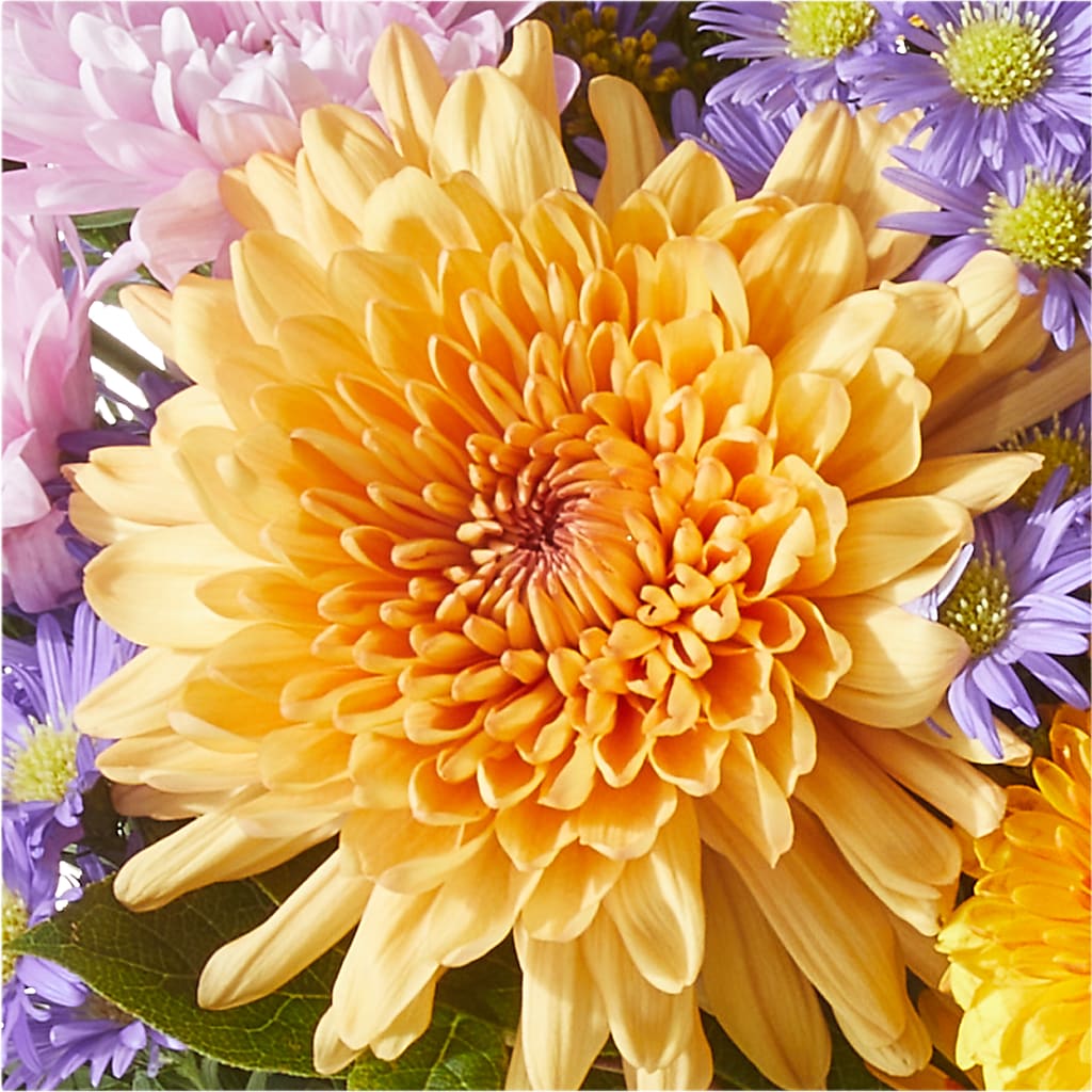 Countryside Bouquet – WOYSHNER'S FLOWER SHOP, Lackawanna NY