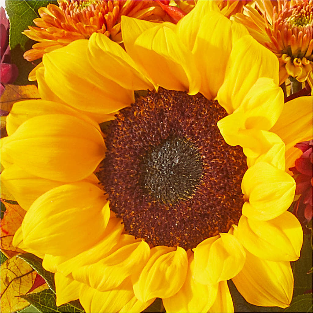 Sunny Side Bouquet – WOYSHNER'S FLOWER SHOP, Lackawanna NY