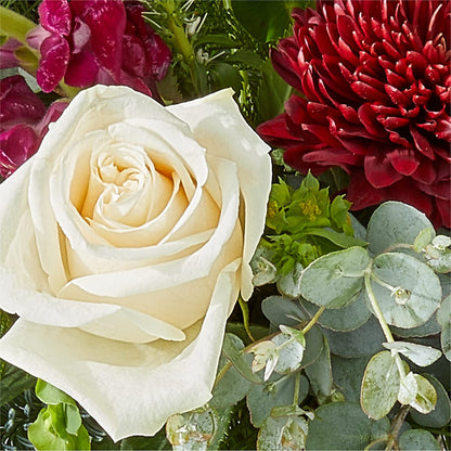 Cranberry Fizz Bouquet – WOYSHNER'S FLOWER SHOP, Lackawanna NY