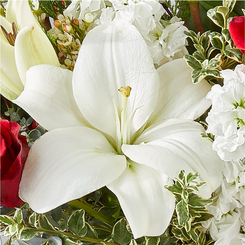 Twinkle Lights Bouquet – WOYSHNER'S FLOWER SHOP, Lackawanna NY