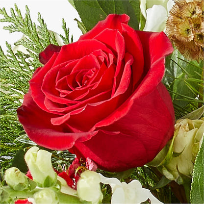 Deck the Halls Bouquet – WOYSHNER'S FLOWER SHOP, Lackawanna NY