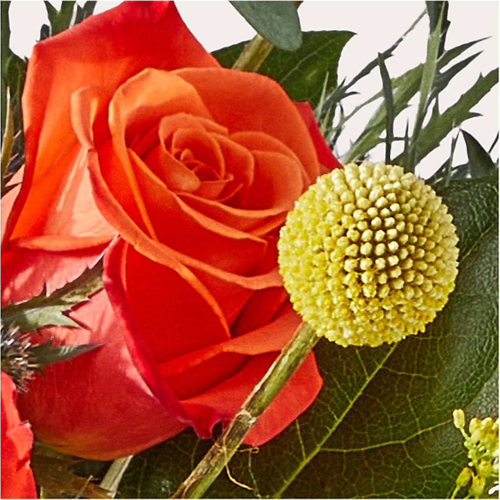 Disco Bouquet – WOYSHNER'S FLOWER SHOP, Lackawanna NY