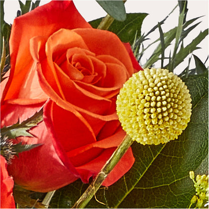 Disco Bouquet – WOYSHNER'S FLOWER SHOP, Lackawanna NY