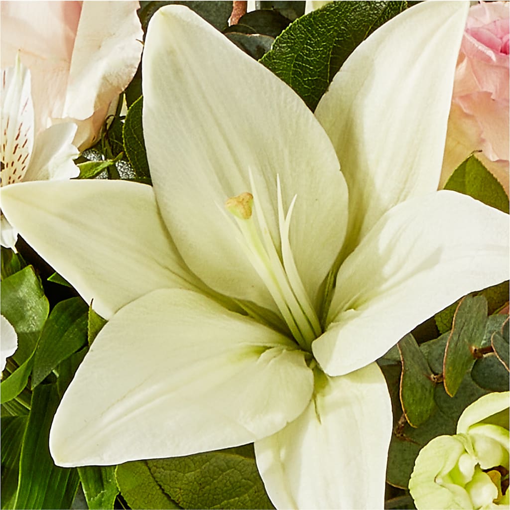 Ballet Slippers Bouquet – WOYSHNER'S FLOWER SHOP, Lackawanna NY