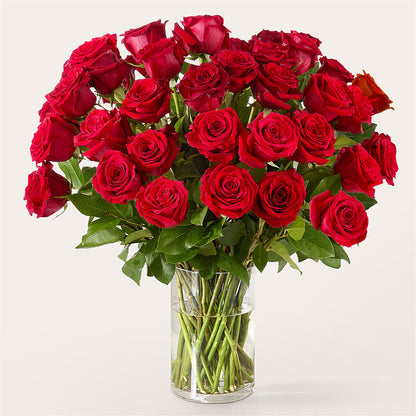The One Red Rose Bouquet – WOYSHNER'S FLOWER SHOP, Lackawanna NY
