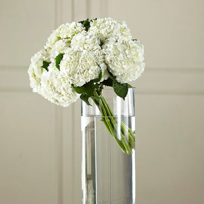 White Hydrangea Hand-Tied Bouquet – WOYSHNER'S FLOWER SHOP, Lackawanna NY